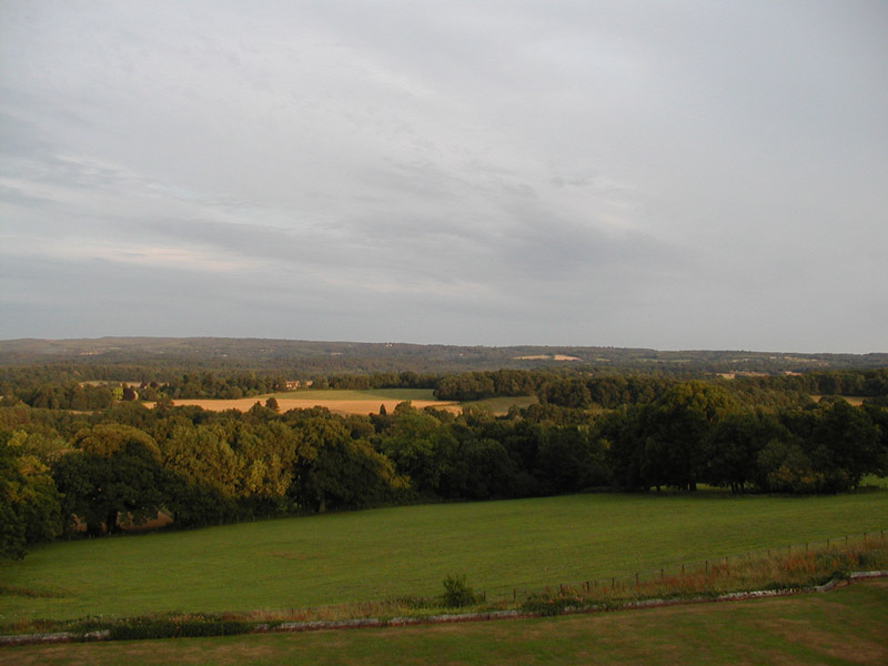 P7198411