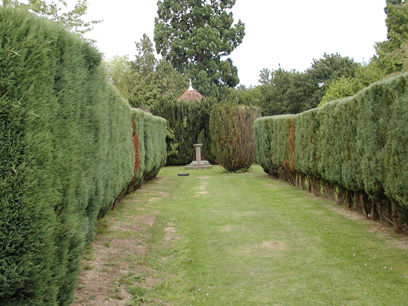 P7184546