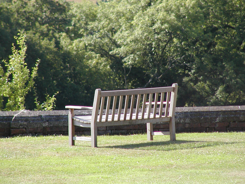 P7194637