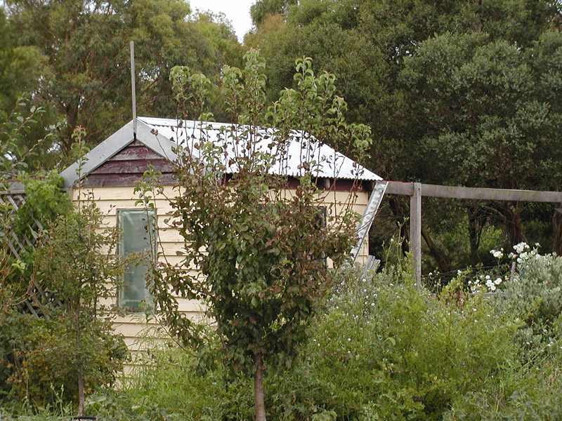 P1190034