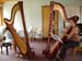 harp_masterclass_011