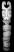 motherofpearl_04.jpg