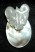motherofpearl_270.jpg