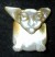 motherofpearl_308.jpg